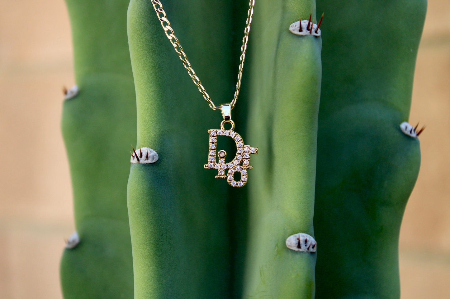 Dior Necklace