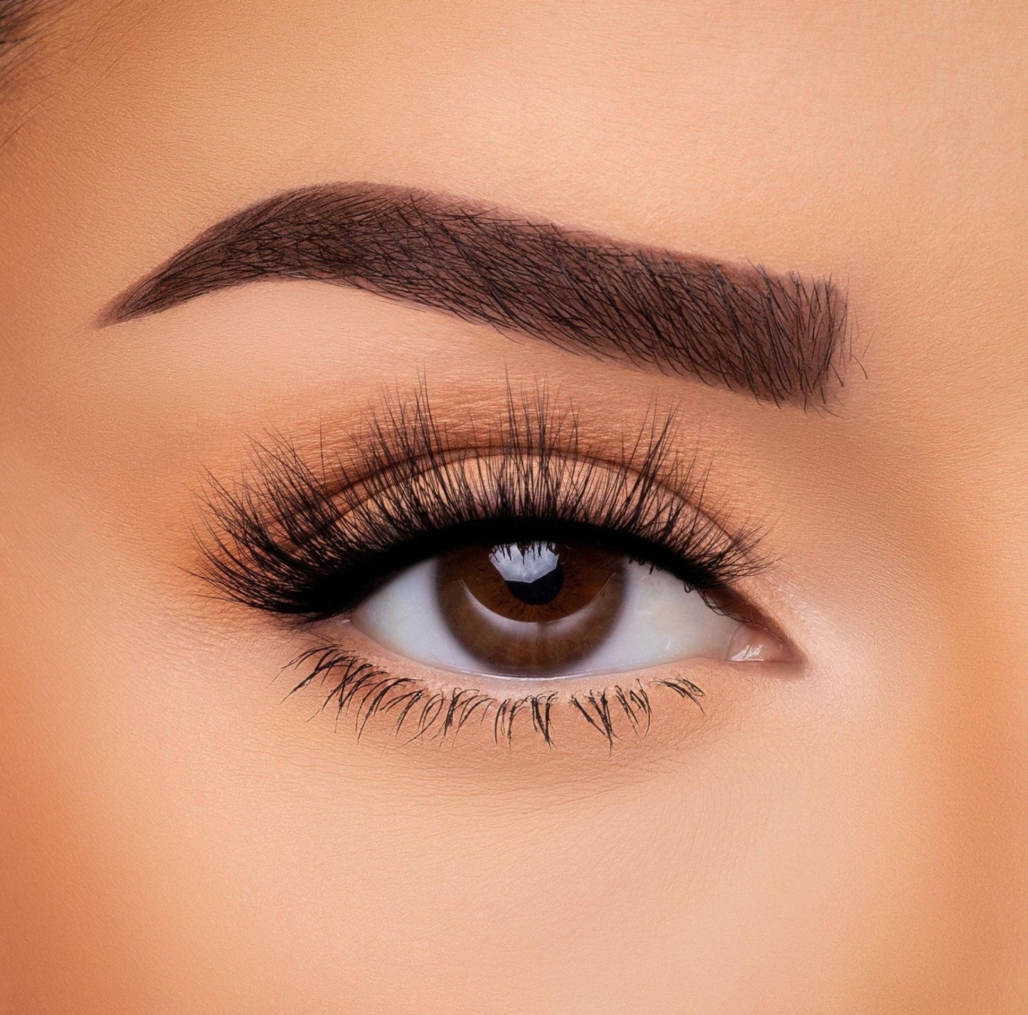 Beauty Creations Hot Mess