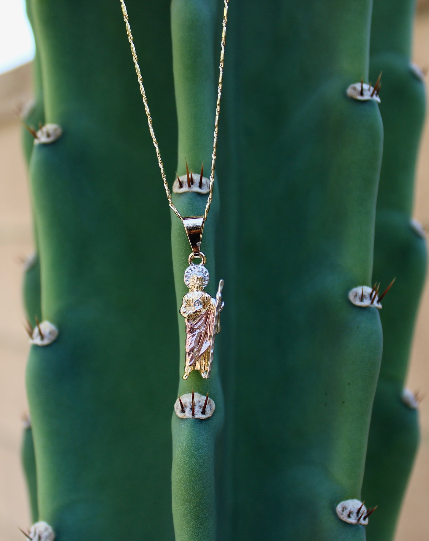 Pink Small San Judas Necklace