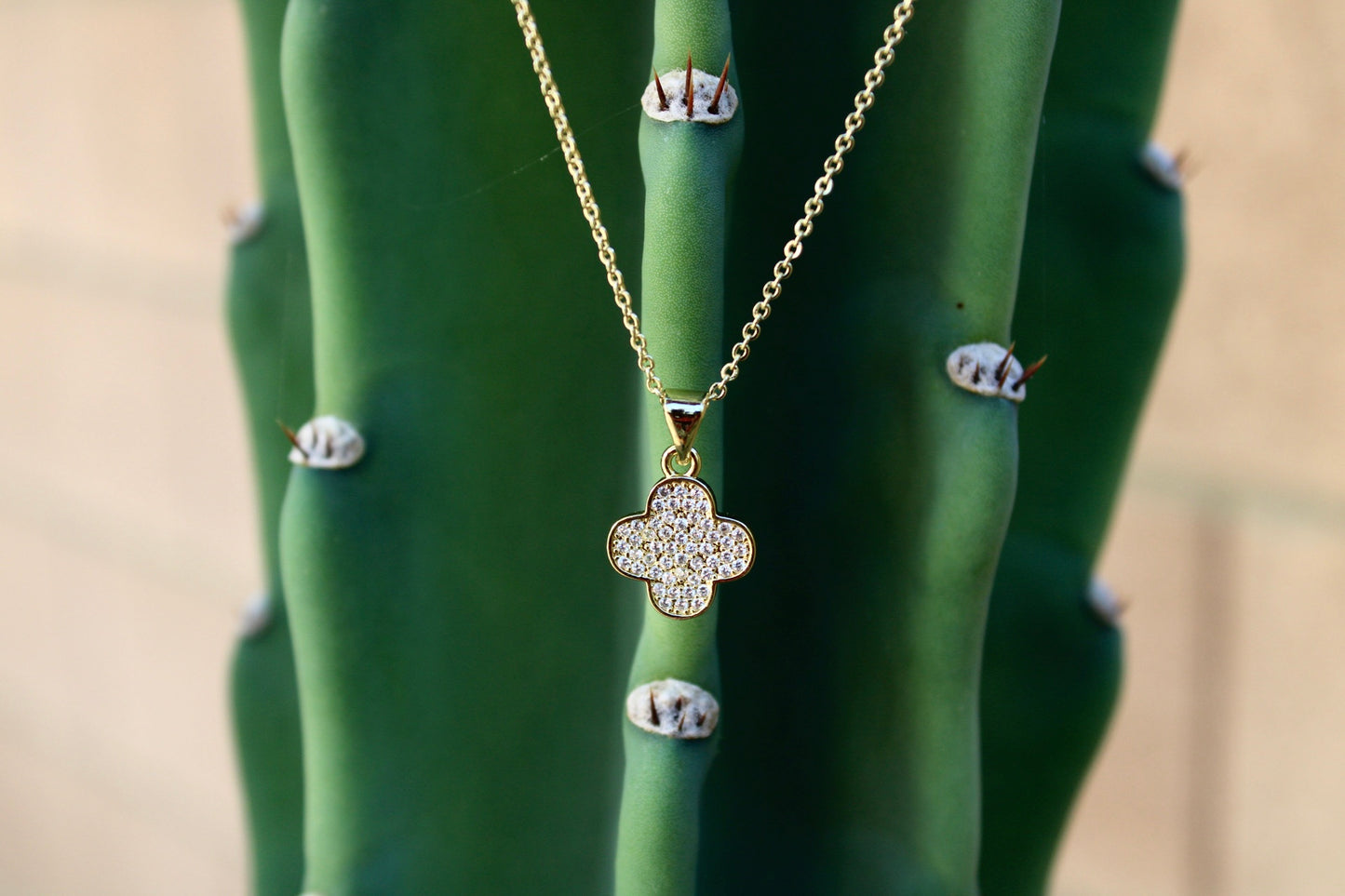 The Victoria Necklace