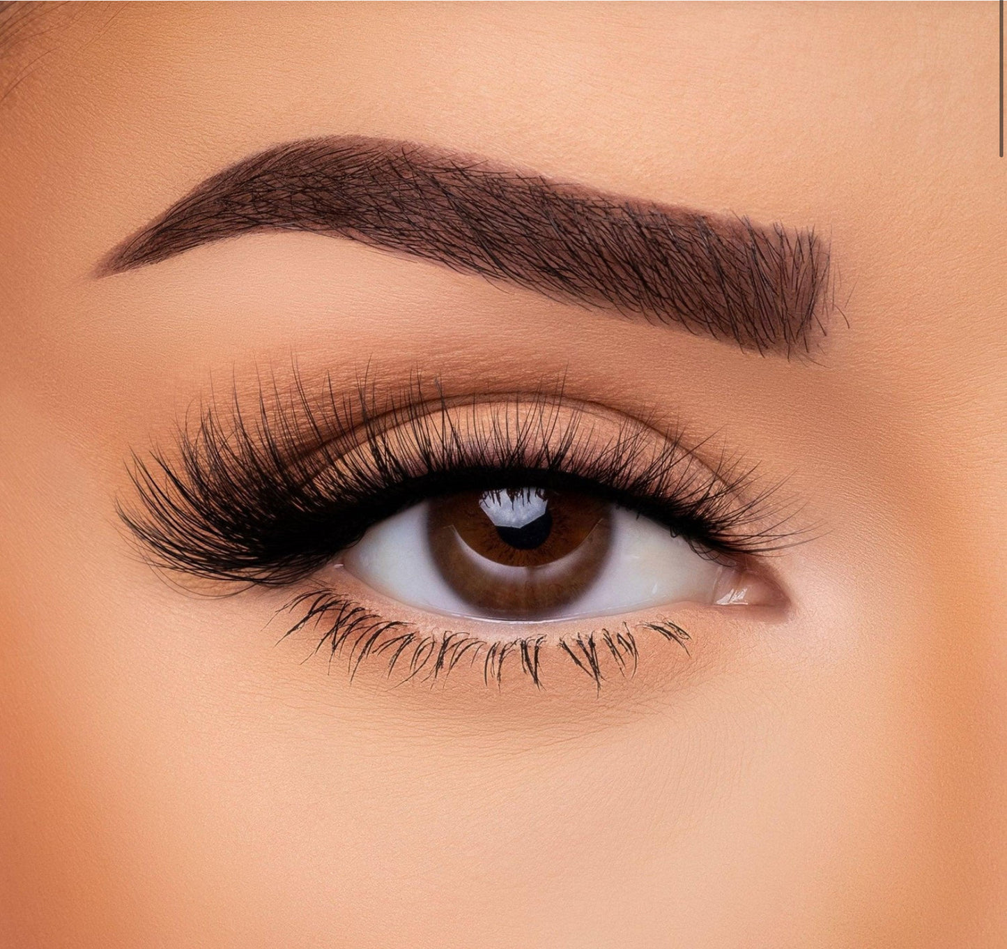 Beauty Creation Goat