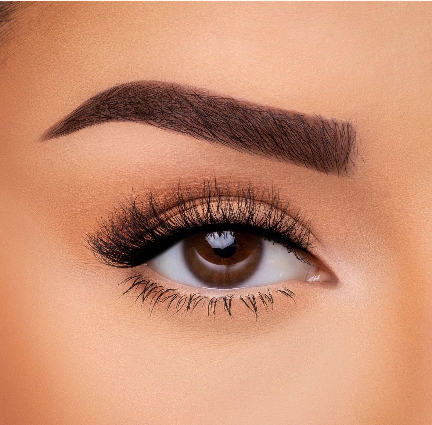 Beauty Creations Internet Buzz