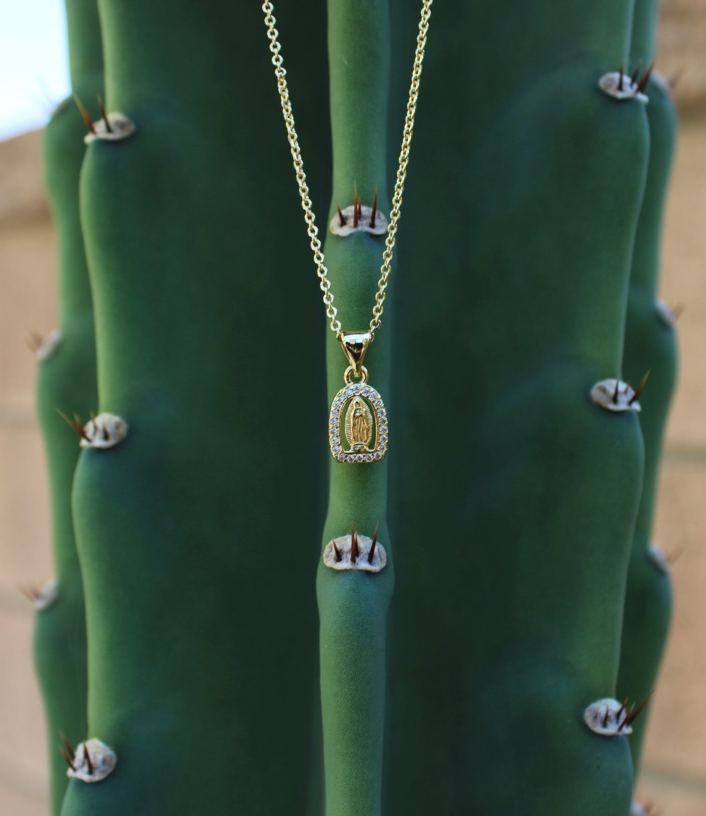 Dainty Virgin Mary Necklace
